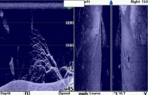 Down vs Side imaging Fishfinder