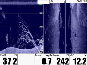 down-vs-side-imaging-fishfinder