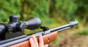 hunting air rifle with optic