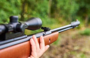 hunting air rifle with optic