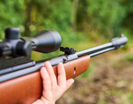 hunting air rifle with optic