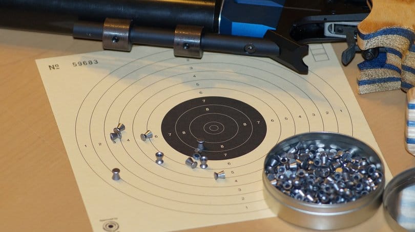 rsz target with pellets