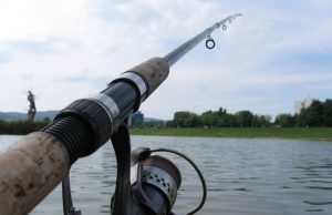 fishing-rod-with-reel