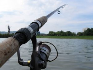 fishing-rod-with-reel