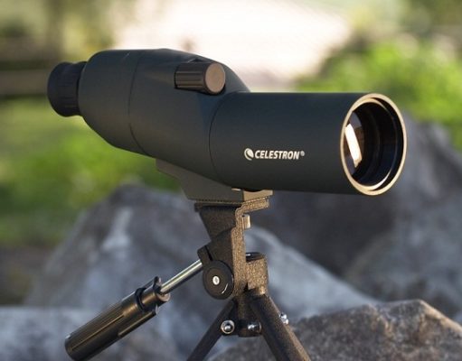 Celestron 20 60x60mm