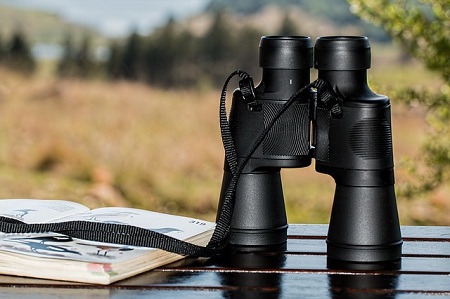 Birding with binoculars