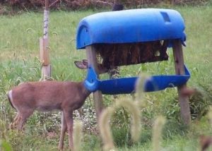 How To Make a DIY Deer Feeder: Instructions, Tips, and Ideas