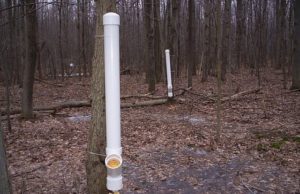 homemade deer feeders