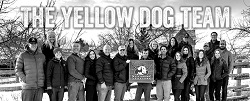 Yellow Dog Team profile photo
