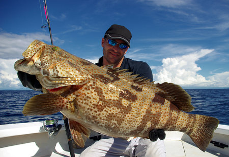 grouper caught with a saltwater spinning reel