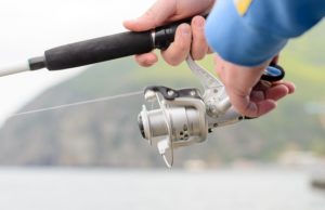 saltwater spinning rod and reel