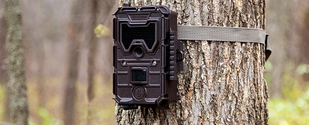 Bushnell Wireless Trail Camera