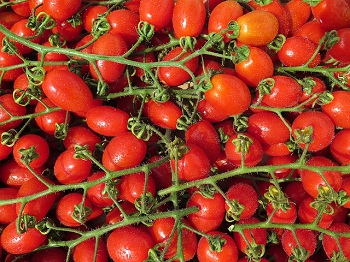 cherry tomatoes
