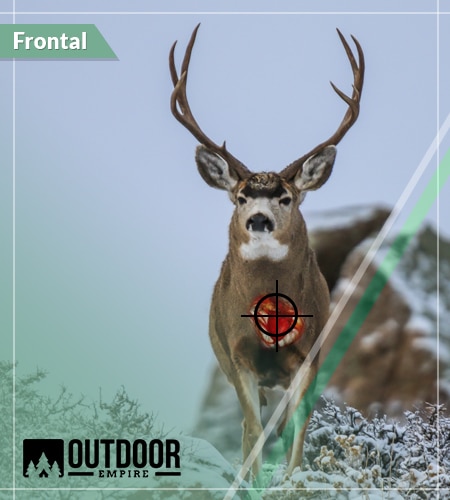 Frontal deer shot placement