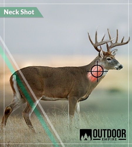Neck shot deer shot placement