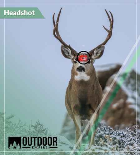 Headshot deer shot placement