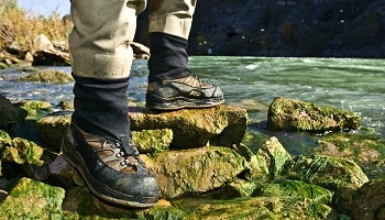 wading boots
