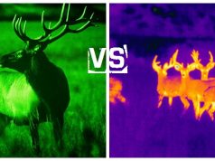 night vision vs thermal