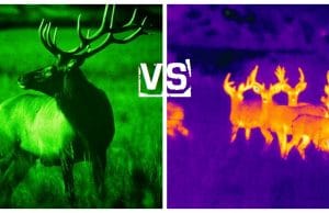 night vision vs thermal