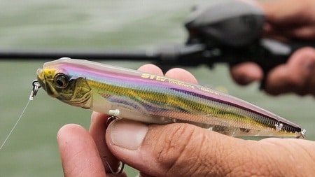 topwater lure