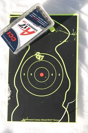 100-yard group a-17 savage auto and paired ammunition.