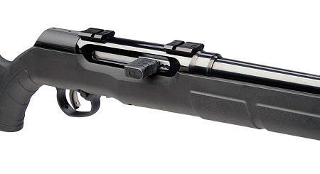 Savage a 17. An innovative receiver group as an action for the touchy 17 hmr.
