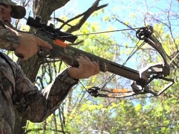 crossbow aimed by hunter