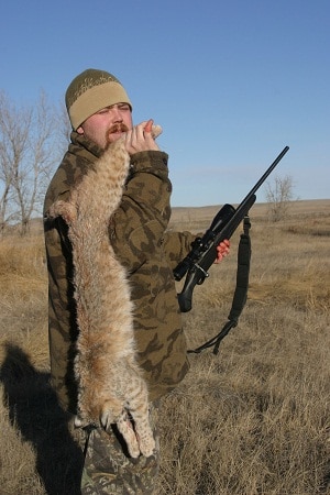 larger varmints can be harvested by 17 hmr