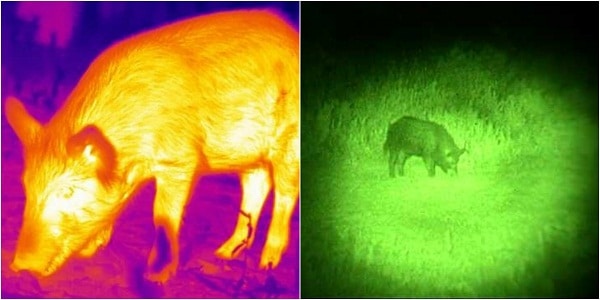 thermal vs night vision
