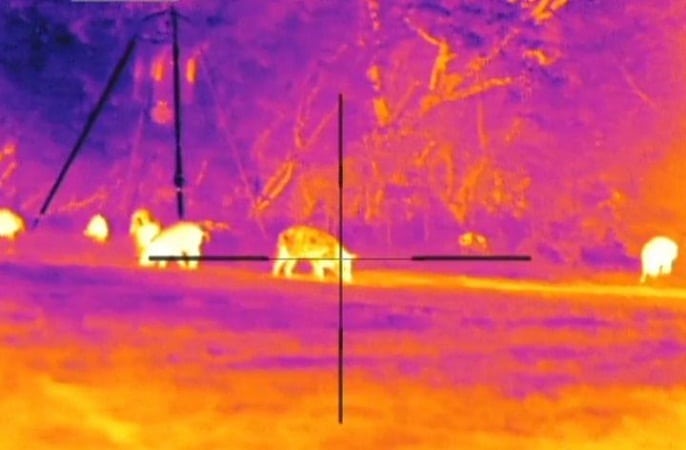 view through a thermal scope