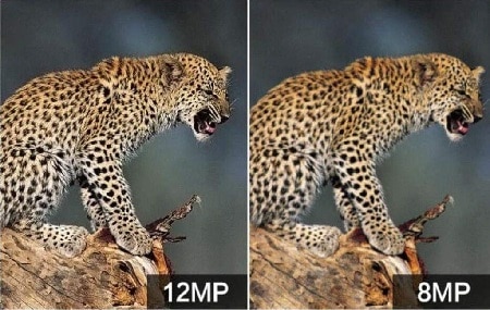 differenza tra 8 mega pixel e 12 megapixel