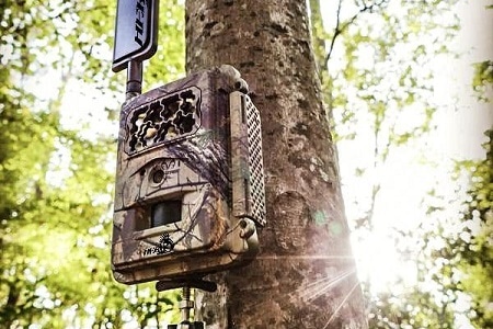Game camera mounted away from sunlight
