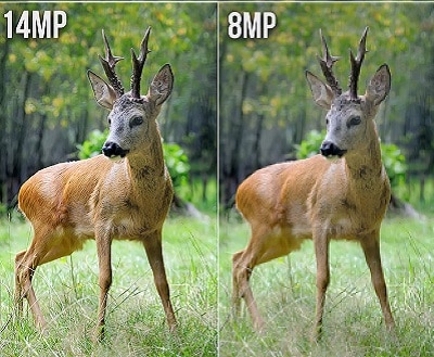 deer camera megapixels