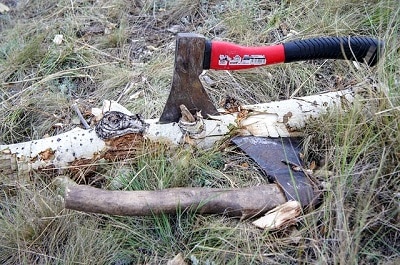 Axes on dry grass