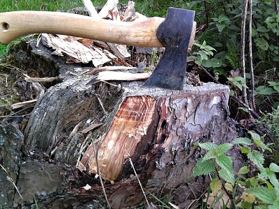 Hatchet on wood stump