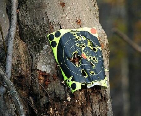 target with bullet holes on tree trunk
