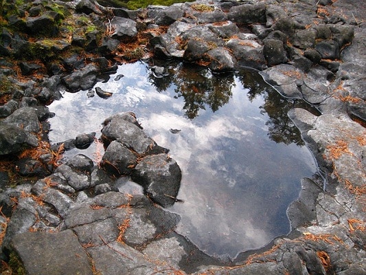 water puddle on rocks