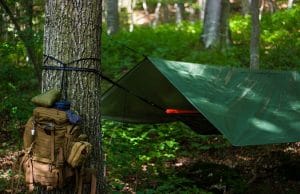 backpack hanging on a trees trunk