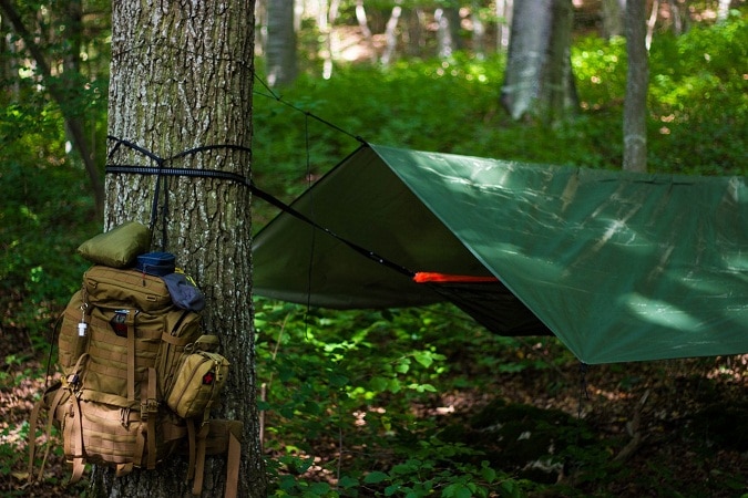 backpack hanging on a tree's trunk