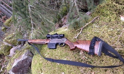 rifle on mossed rock in the woods
