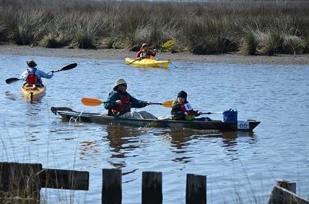 canoe and kayaks on water