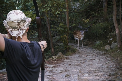 hunter with an arrow aimed at a spotted deer on a narrow mountain path.