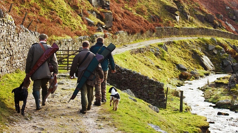 hunters walking with dogs