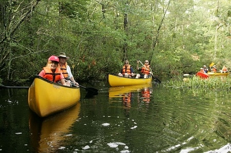 tourists paddling canoes on a river