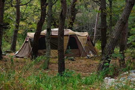 big tent pitched in the woods