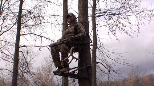bow hunter on treestand with deer antlers
