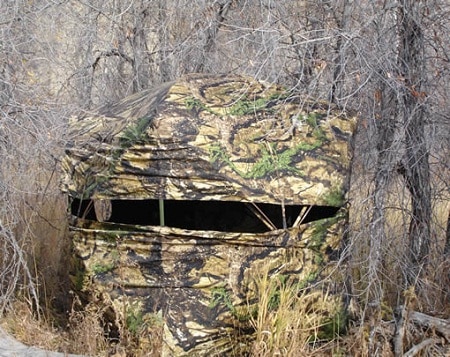 ground blind with back interior setup in the woods