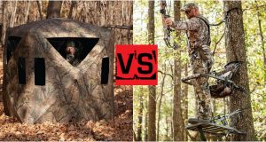 ground blinds vs treestand 1
