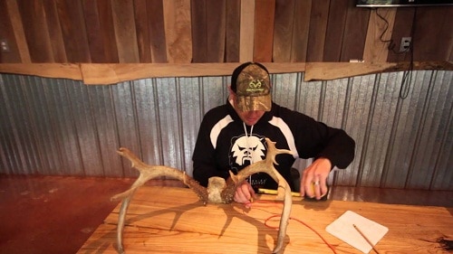 man measuring deer antlers with metric tape