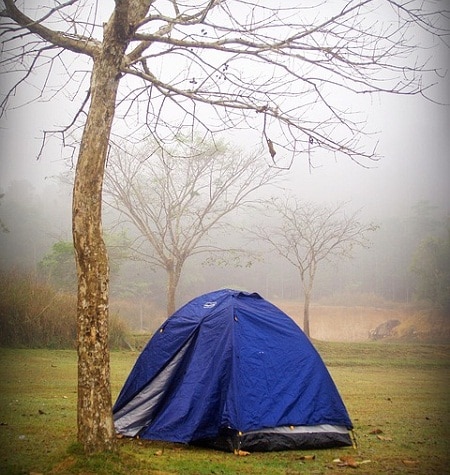 tent on grassland foggy day